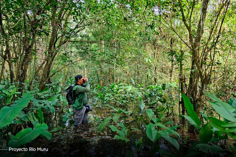 Fotos_RioMuru_5